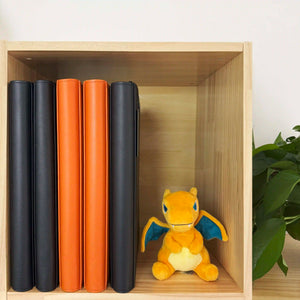 Ravaver-Charizard-card-binder-4